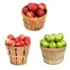 3-in-1 Apple Tree 2 3-in-1 Apple Tree -Plant Sale Shop 3 in 1 Apple 600x600 9edf9e9a ce86 4b58 beb9 2946adf65064