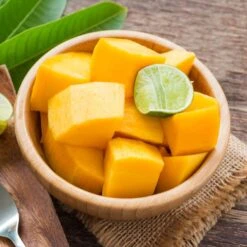 Alphonso Mango 13 Alphonso Mango -Plant Sale Shop Alphonso Mango 2 FGT