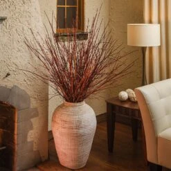 Arctic Fire® Red Twig Dogwood 12 Arctic Fire® Red Twig Dogwood -Plant Sale Shop Arctic Fire Twig Dogwood 6 FGT