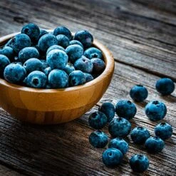 Aurora Blueberry Bush - USDA Organic 13 Aurora Blueberry Bush - USDA Organic -Plant Sale Shop Aurora Blueberry 4 dc5a7e17 d7e4 4799 b1b9 177f422f6847