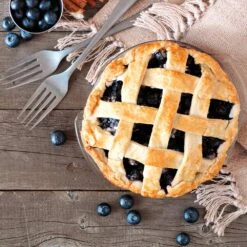 Aurora Blueberry Bush - USDA Organic 14 Aurora Blueberry Bush - USDA Organic -Plant Sale Shop Aurora Blueberry 5 112457a4 3811 4866 87c8 269c657283bf