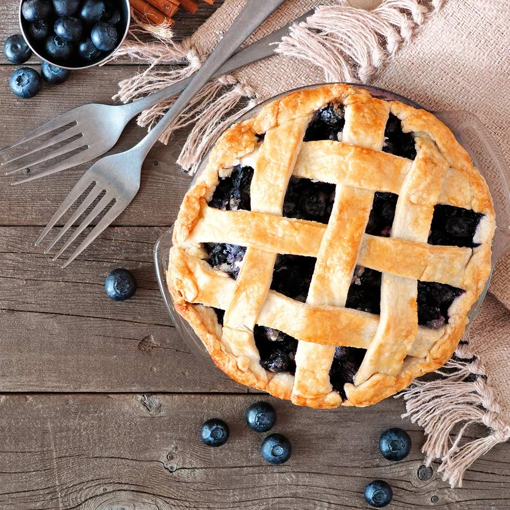 Aurora Blueberry Bush - USDA Organic 8 Aurora Blueberry Bush - USDA Organic - Image 6