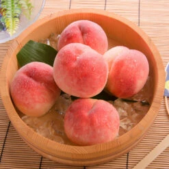 Babcock Peach Tree -Plant Sale Shop Babcock Peach 1