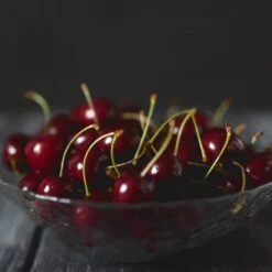 Black Tartarian Cherry Tree 10 Black Tartarian Cherry Tree -Plant Sale Shop Black Tartarian Cherry Tree 2 FGT