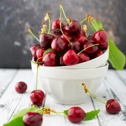 Brooks Cherry Tree -Plant Sale Shop Brooks Cherry Tree 5 FGT