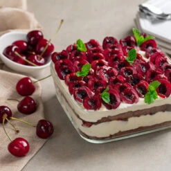 Brooks Cherry Tree -Plant Sale Shop Brooks Cherry Tree 6 FGT