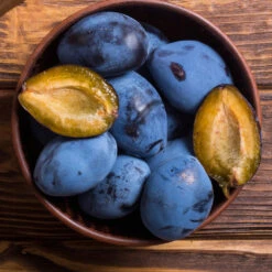 Brooks Plum Tree -Plant Sale Shop Brooks Plum 2