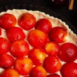 Bubblegum 'Toka' Plum Tree 11 Bubblegum 'Toka' Plum Tree -Plant Sale Shop Bubblegum Toka Plum 3