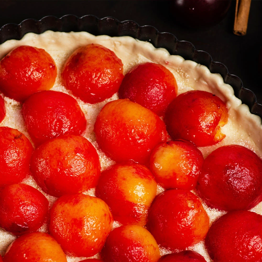 Bubblegum 'Toka' Plum Tree 7 Bubblegum 'Toka' Plum Tree - Image 5