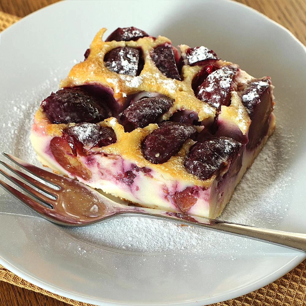 Burgundy Plum Tree 7 Burgundy Plum Tree - Image 5