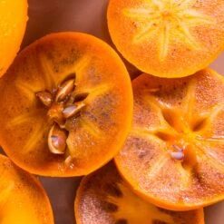 Chocolate Persimmon Tree 7 Chocolate Persimmon Tree -Plant Sale Shop CHocolate Persimmon 2