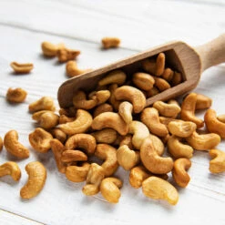 Cashew Tree 12 Cashew Tree -Plant Sale Shop Cashew Nut Tree 5