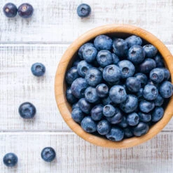 Climax Blueberry - USDA Organic 13 Climax Blueberry - USDA Organic -Plant Sale Shop Climax Blueberry 4 6dff9fe5 d11c 4867 ac6f bf49cd37acb5