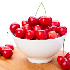 Coral Champagne Cherry Tree 8 Coral Champagne Cherry Tree -Plant Sale Shop Coral Champagne Cherry Tree 4 FGT