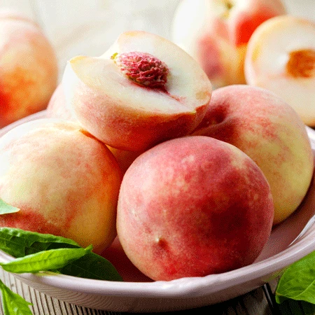 Early White Giant Peach Tree 5 Early White Giant Peach Tree - Image 3