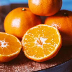 EasyPeel Clementine Tree -Plant Sale Shop Easy Peel Clementine 4 FGT