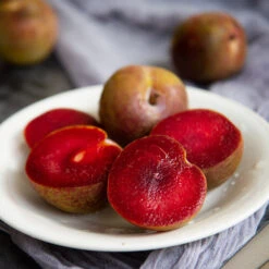 Elephant Heart Plum Tree -Plant Sale Shop Elephant Heart Plum 1