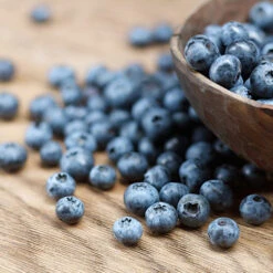 Emerald Blueberry Bush -Plant Sale Shop Emerald Blueberries 1