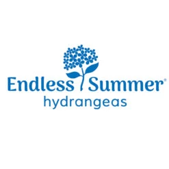 Endless Summer® Summer Crush® Hydrangea -Plant Sale Shop Endless Summer Hydrangeas 1000x1000 347a4889 45a5 42f4 94f1 e0220955e380