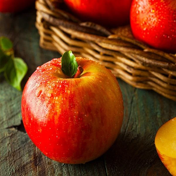 Fuji Apple Tree - USDA Organic 3 Fuji Apple Tree - USDA Organic