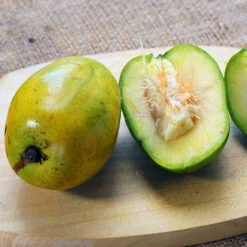 June Plum Tree -Plant Sale Shop June Plum 5