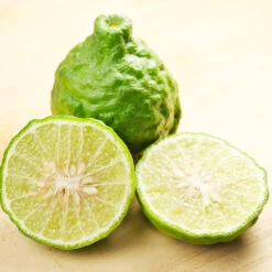 Kaffer 'Kieffer' Lime Tree 10 Kaffer 'Kieffer' Lime Tree -Plant Sale Shop Kaffir Lime 7 FGT