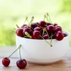 Lapins Cherry Tree -Plant Sale Shop Lapins Cherry Tree 2 FGT 325a18e6 7143 4729 a41b b0d9614909b8