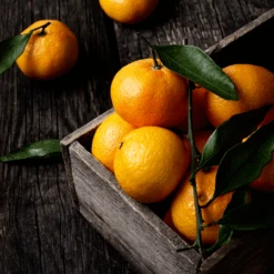 Murcott Honey Mandarin Tree 6 Murcott Honey Mandarin Tree -Plant Sale Shop Murcott Honey Mandarin Tree 450