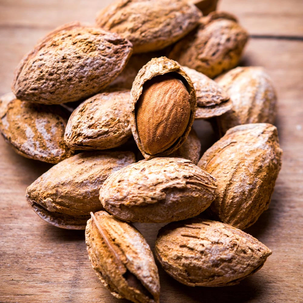 Nonpareil Almond Tree 6 Nonpareil Almond Tree - Image 4