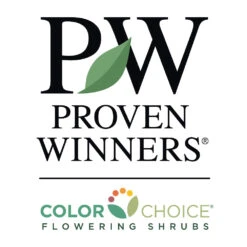 Bloomerang® Lilac Shrub -Plant Sale Shop PW Logo CC 1000x1000 0a4307e5 97de 497d 96d7 36cc82ea5dc1