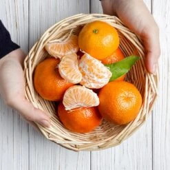 Page Mandarin Tree -Plant Sale Shop Page Mandarin Tree 2 FGT