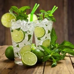 Persian 'Bearss' Lime Tree 13 Persian 'Bearss' Lime Tree -Plant Sale Shop Persian Lime Tree 4 FGT