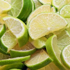 Persian 'Bearss' Lime Bush 10 Persian 'Bearss' Lime Bush -Plant Sale Shop Pursian Lime Bush 1 FGT 8e948345 4f0b 4e96 a96f a17b7b31b7ab