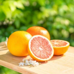 New Release 21 Ruby Red Grapefruit Tree