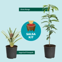 Salsa Kit 10 Salsa Kit -Plant Sale Shop SalsaKitGraphic