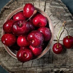 Santina™ Cherry Tree 8 Santina™ Cherry Tree -Plant Sale Shop Santina Cherry 1