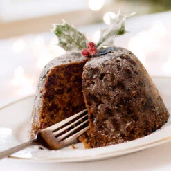 Satsuma Plum Tree 13 Satsuma Plum Tree -Plant Sale Shop Satsuma Plum 4