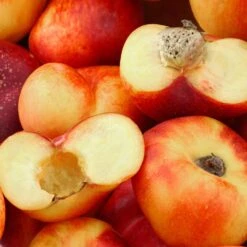 Saturn Peach Tree -Plant Sale Shop Saturn Peach Tree 1