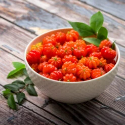 Star Cherry Tree (Pitanga) 11 Star Cherry Tree (Pitanga) -Plant Sale Shop Star Cherry 3 FGT