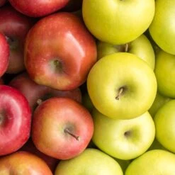 4-in-1 Apple Surprise Tree -Plant Sale Shop Surprise Apple 1 fd4b319d eb68 4ca8 b9dc 6ed8dd5560c3