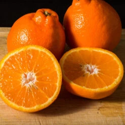 Tangelo Tree 13 Tangelo Tree -Plant Sale Shop Tangelo 3 FGT