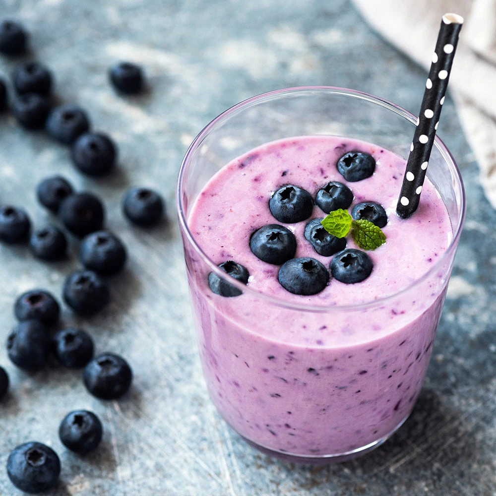 Tifblue Blueberry Bush 7 Tifblue Blueberry Bush - Image 5