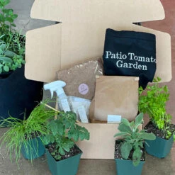 Patio Tomato Garden -Plant Sale Shop Tomato Garden kit 2